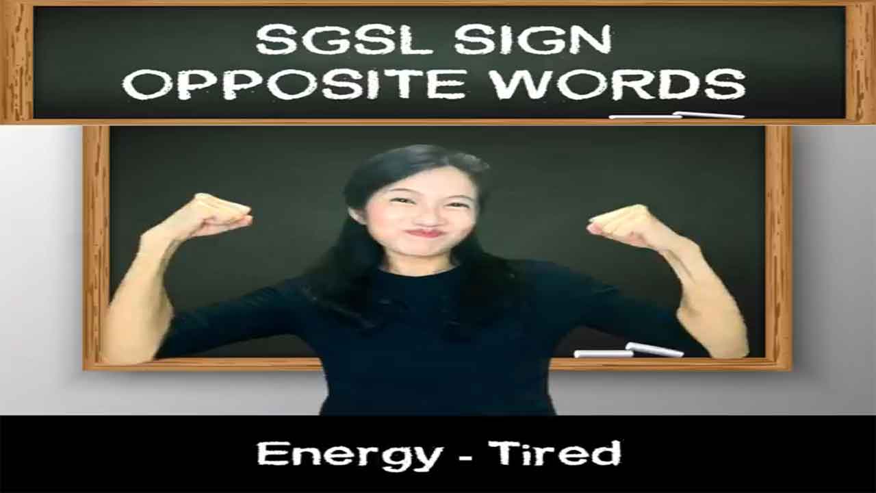 Singapore Sign Language (SgSL) Lesson: Opposite Words